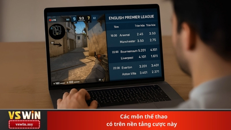 Các môn thể thao có trên nền tảng cược này